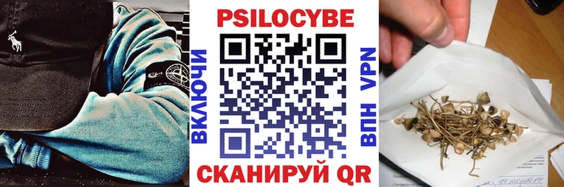 купить   Красноперекопск  Псилоцибиновые грибы мухоморы 